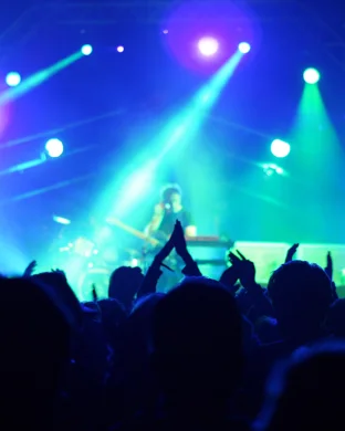Pete Floyd - Pink Floyd Tribute Band Mill Valley