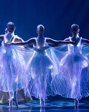 Ballet of Lights San Francisco