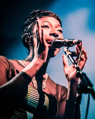 Bonobo Oakland
