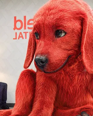 Clifford The Big Red Dog Santa Rosa