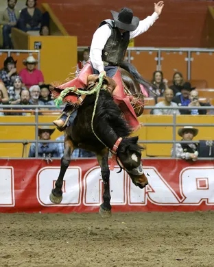 Grand National Rodeo Santa Rosa tickets - Cow Palace