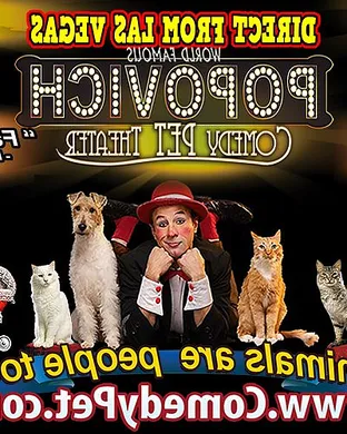 Popovich Comedy Pet Theater San Francisco