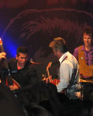 Stray Cats Santa Rosa