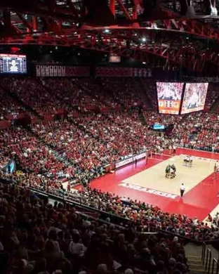 California Golden Bears Volleyball vs. Notre Dame Fighting Irish